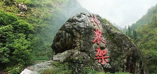 可爱吊带裙
